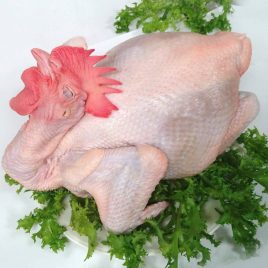 Ayam Fun Tu Ji utuh